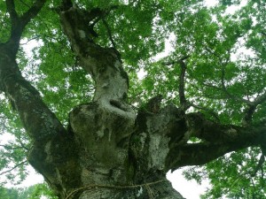 20160501_自分の中から湧き上がるあり方