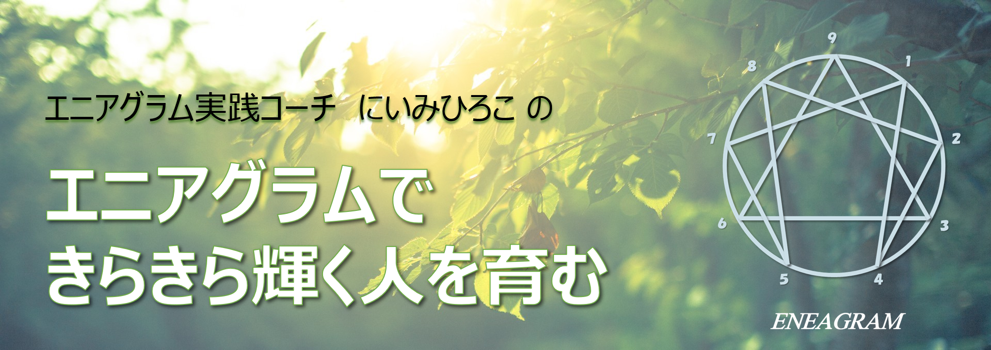 エニアグラムできらきら輝く にいみひろこのコーチング 熊本 東京